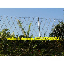 Protection Razor Barbed Mesh Fence